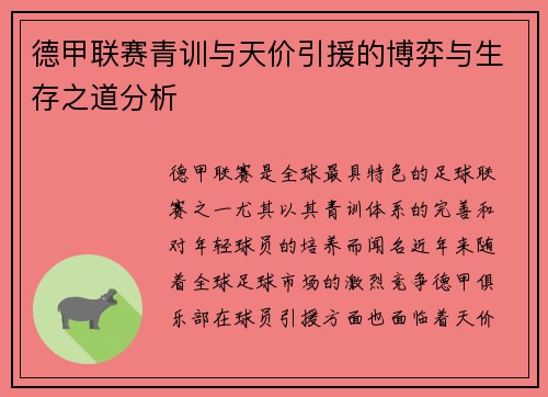 德甲联赛青训与天价引援的博弈与生存之道分析